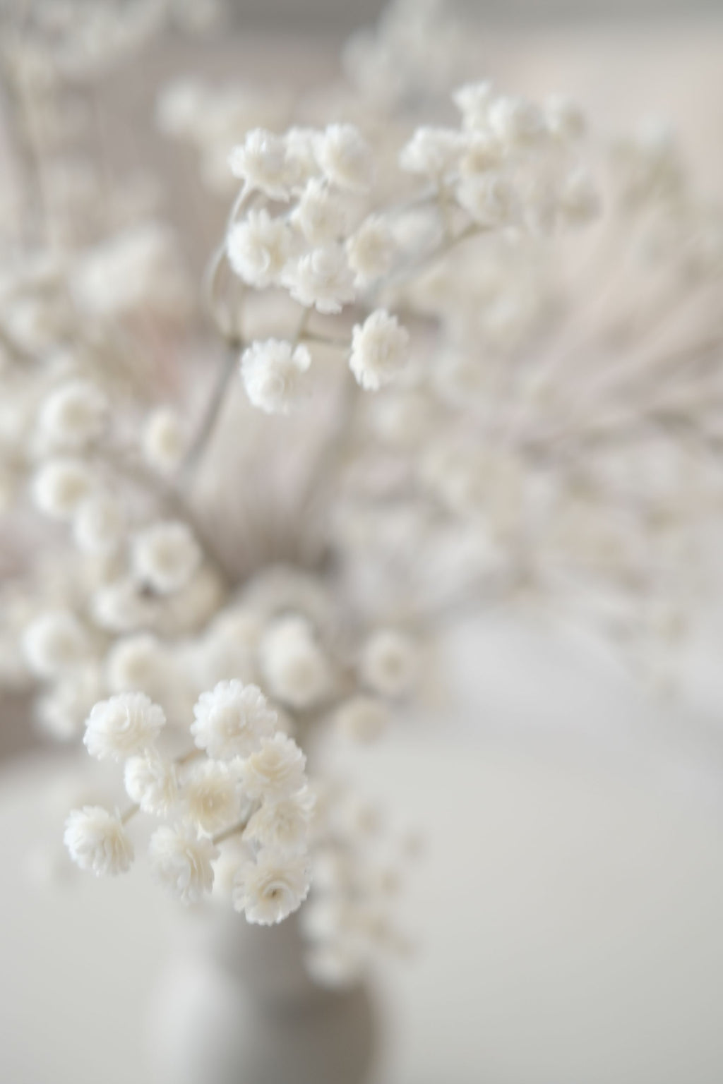 BABY’S BREATH