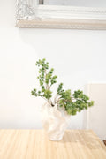 BOTANICAL STEM