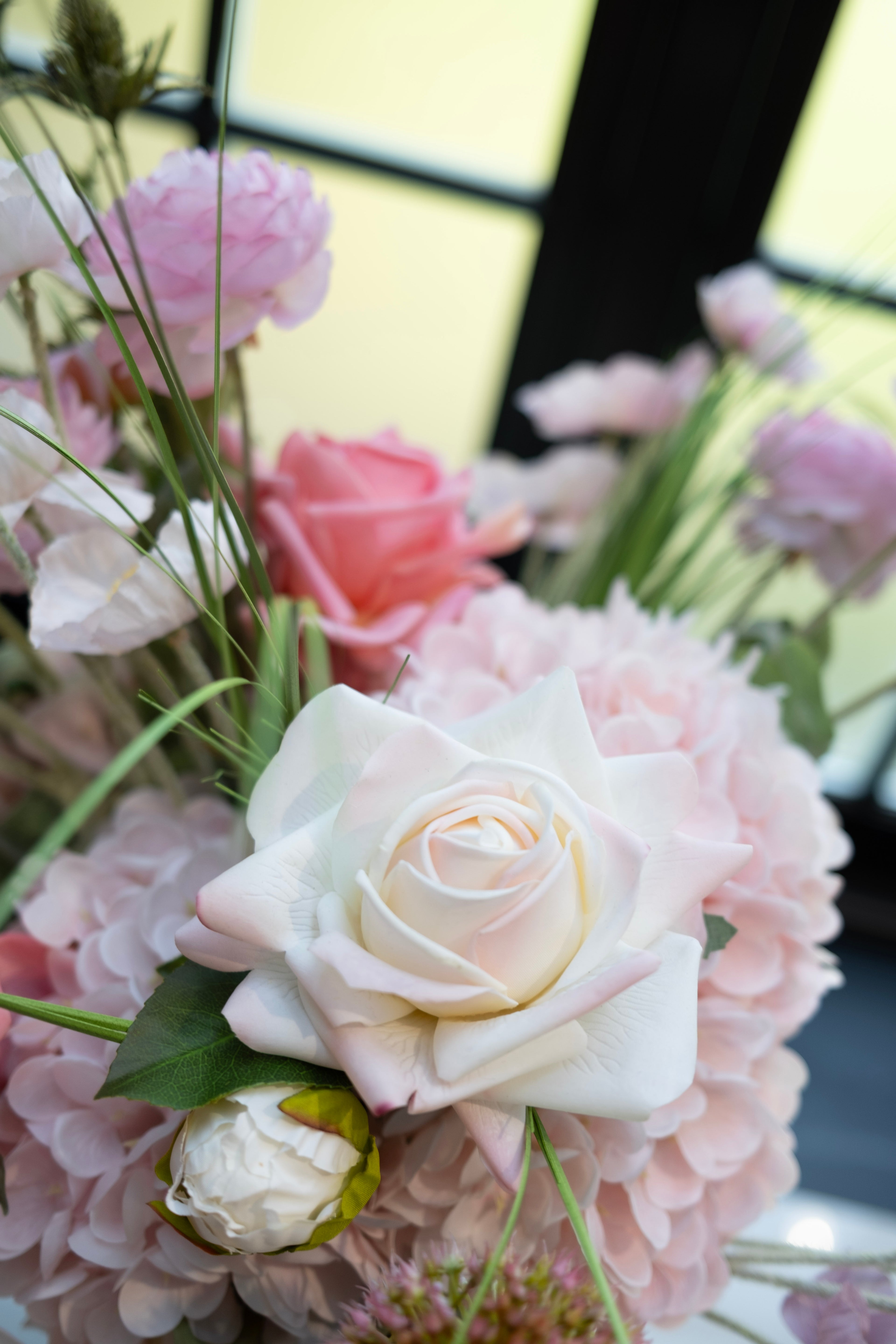 BLUSH BLOOM