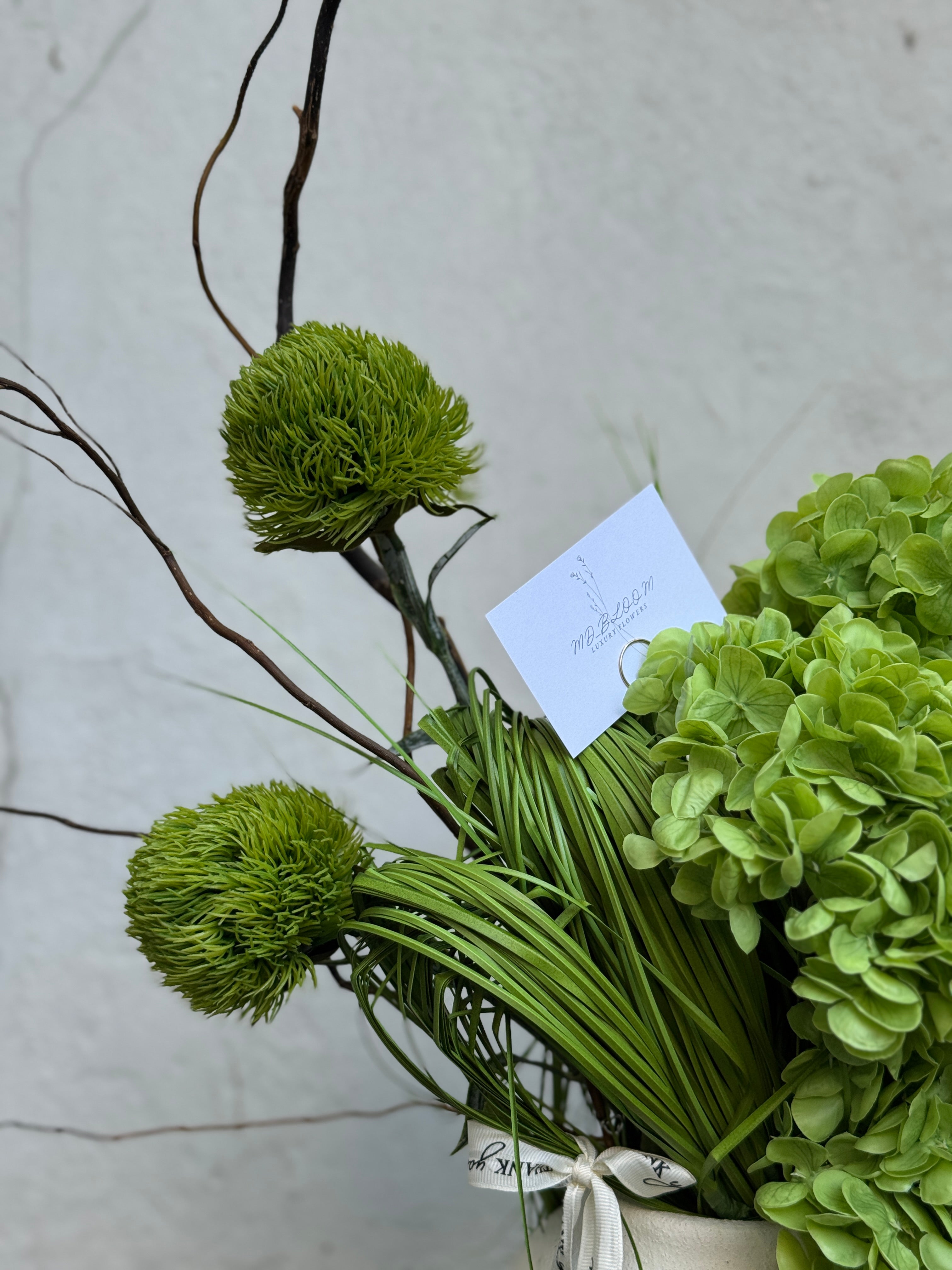 GREEN HARMONY
