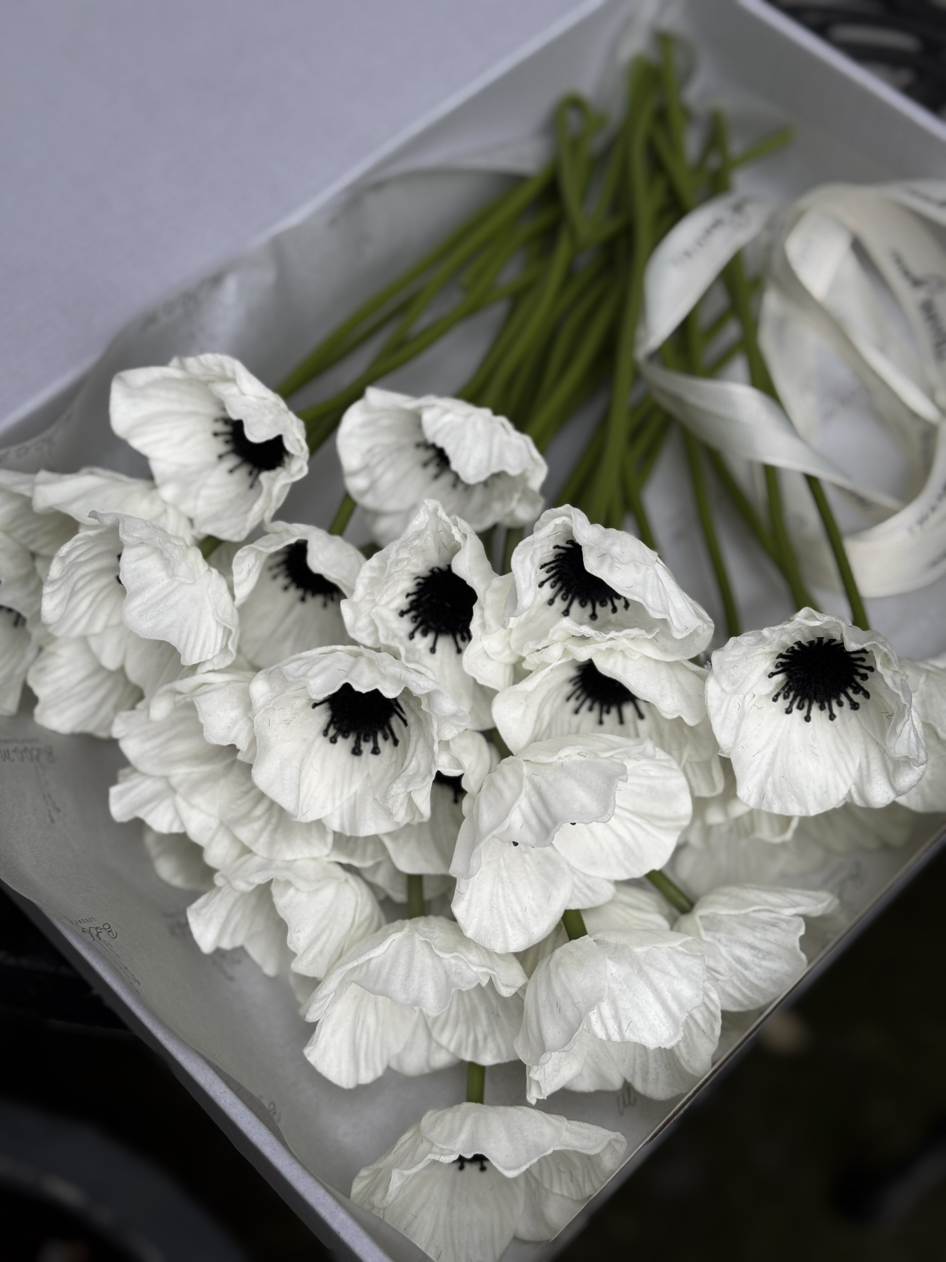 Anemone – MD_FloraBloom