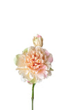 Peony Real Touch