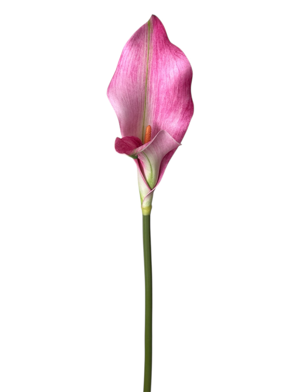 Real Touch Horseshoe Lotus