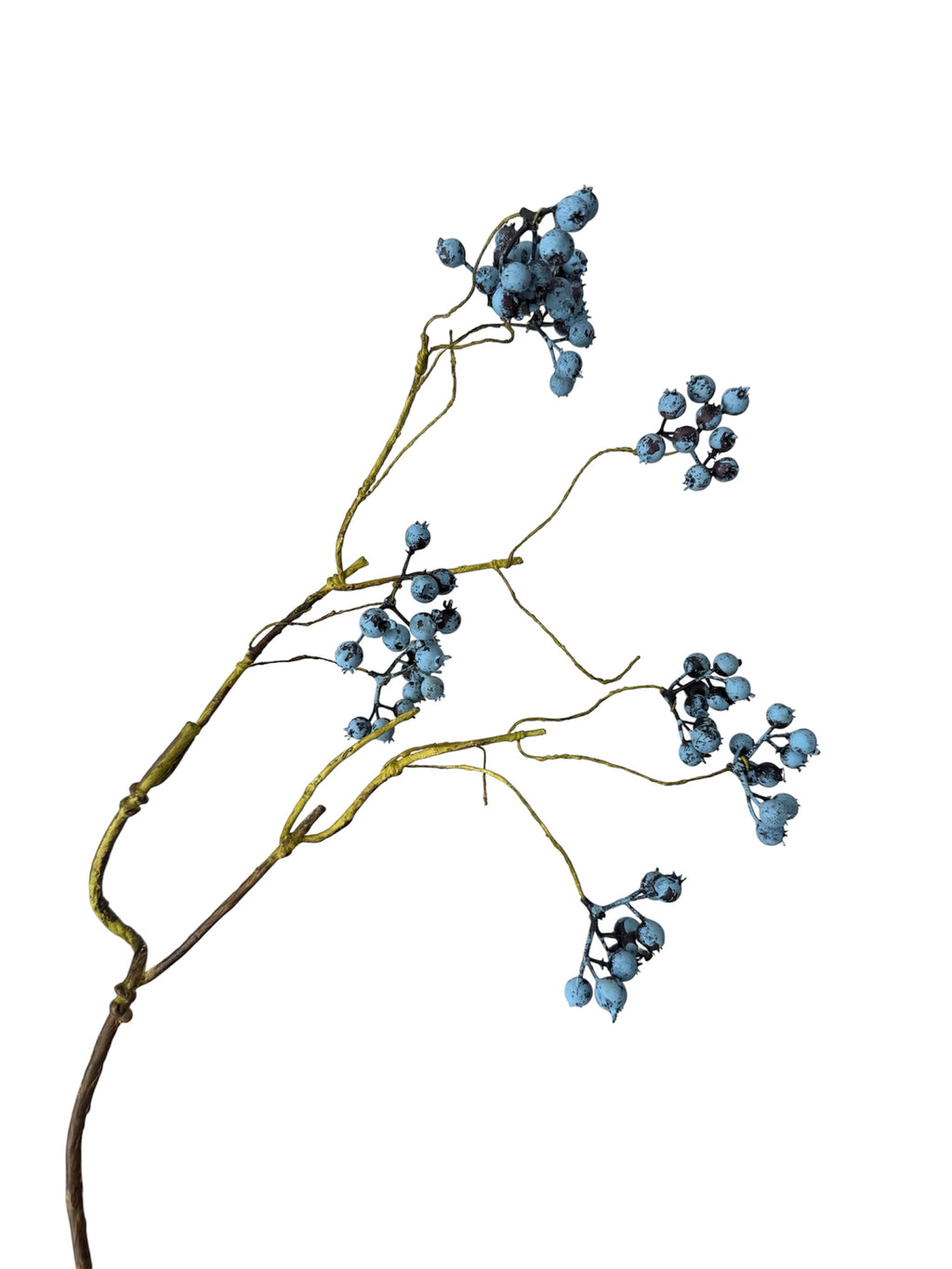 Cranberry Berry Branch