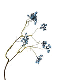 Cranberry Berry Branch