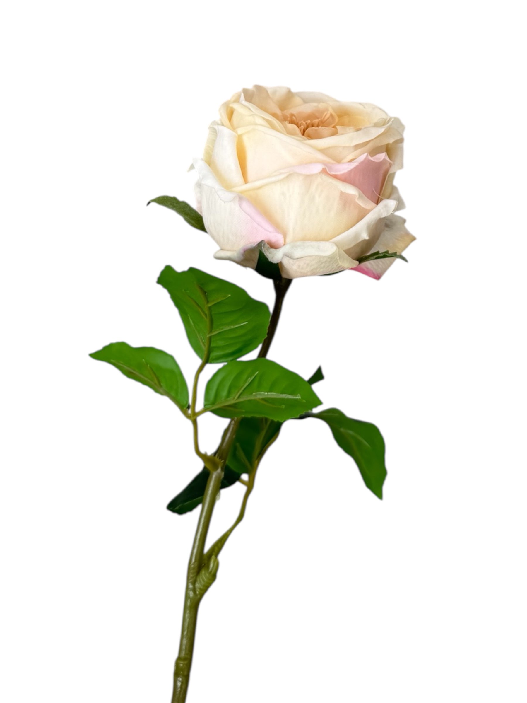 Real Touch Rose
