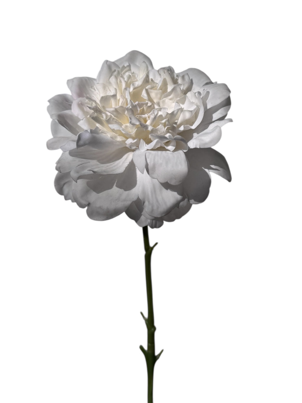 Peony Real Touch