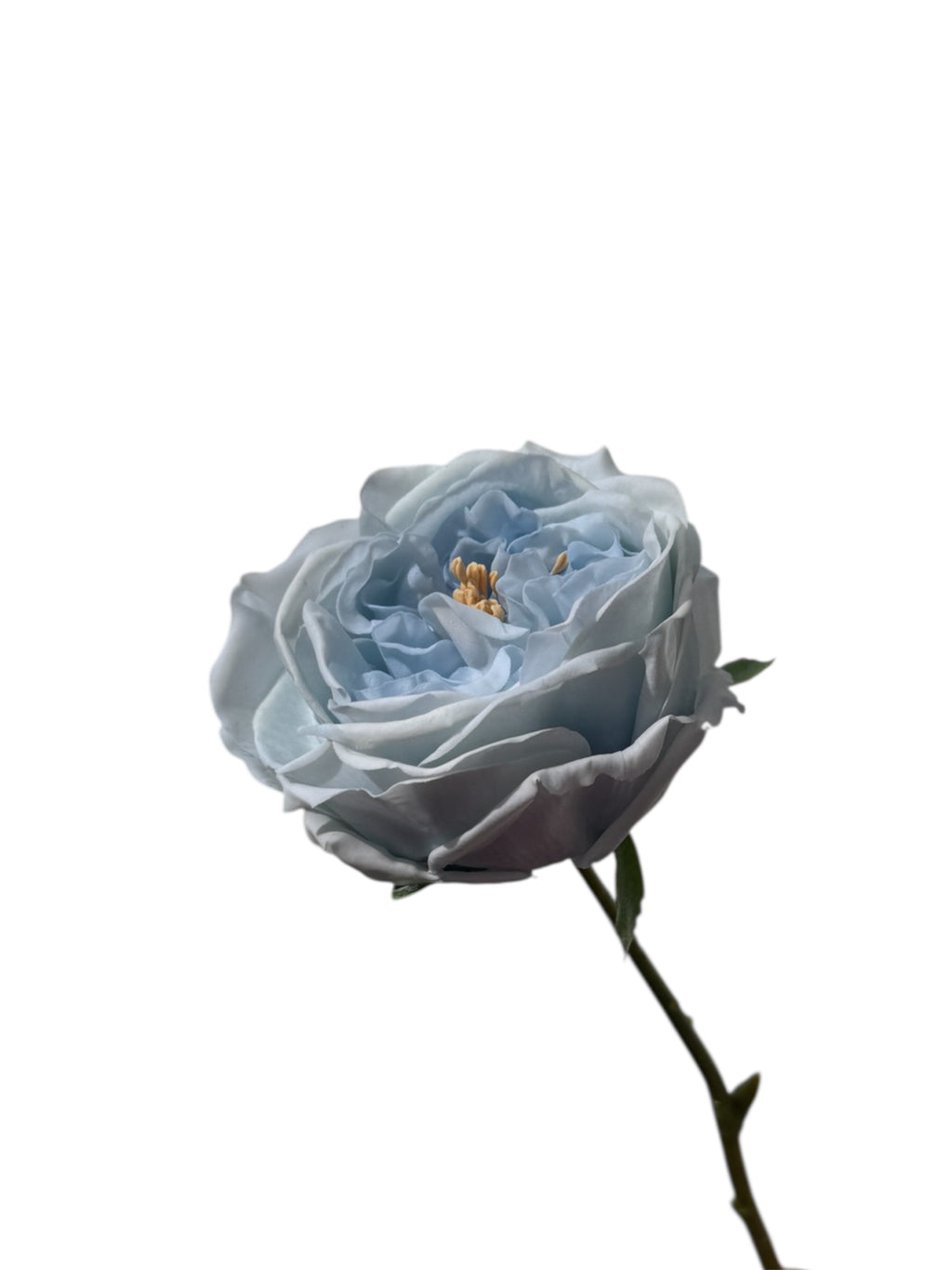 Real Touch Rose