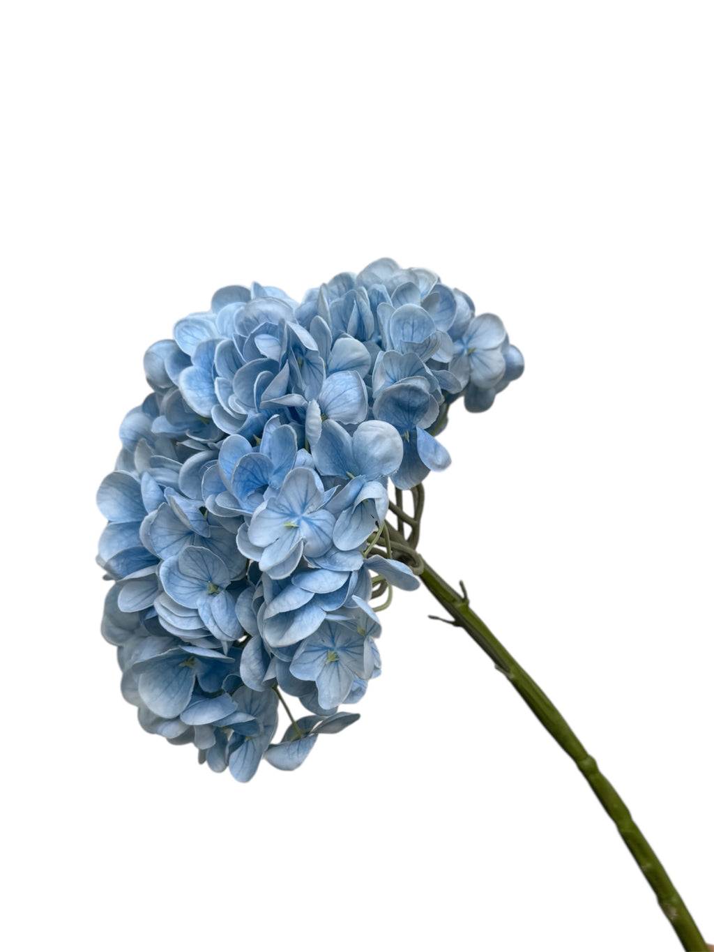 Hydrangeas