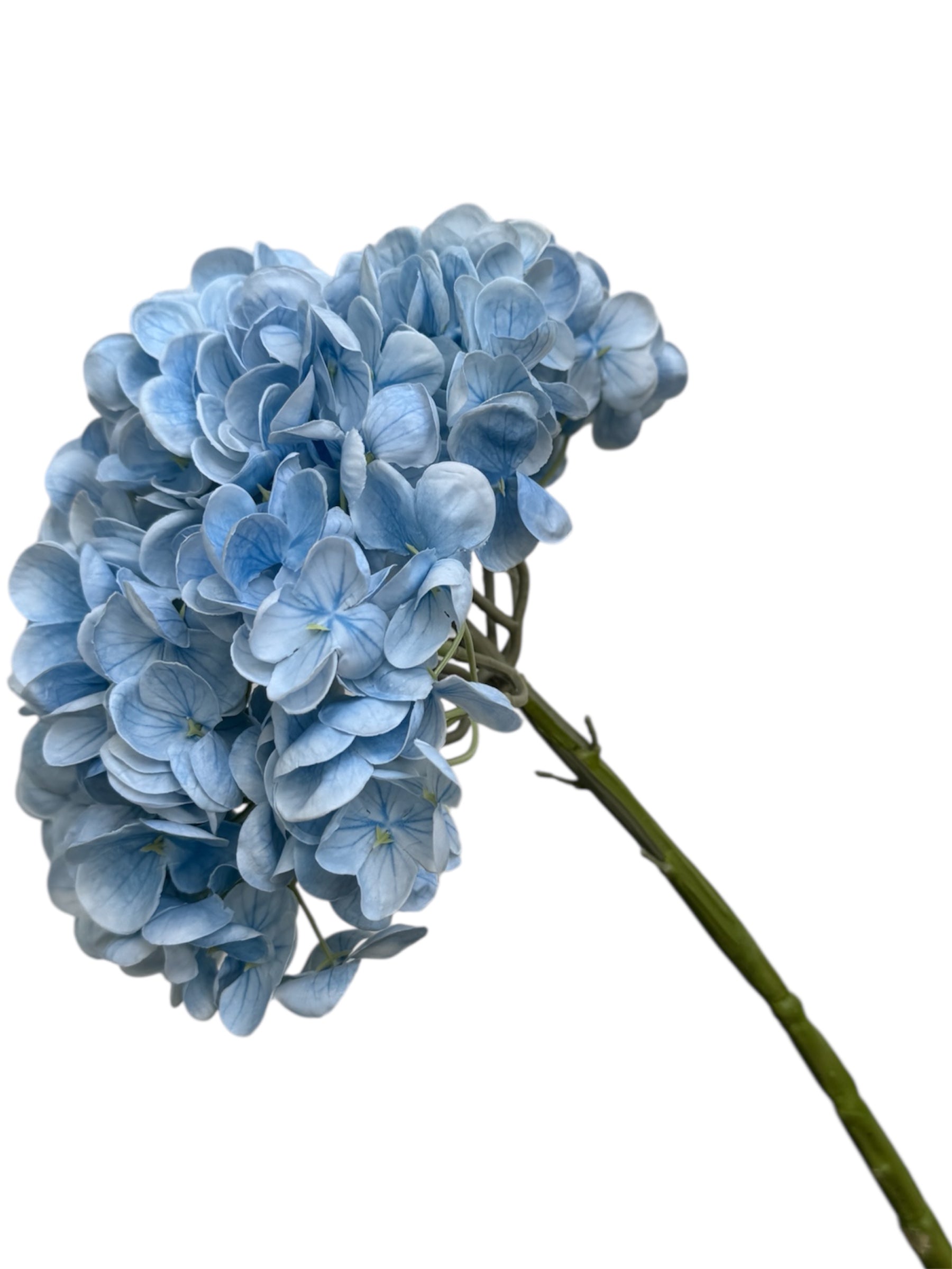 Hydrangeas