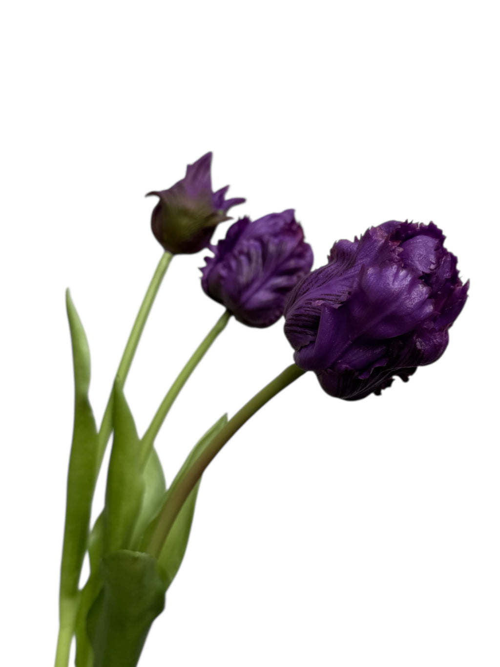 Real Touch Tulips