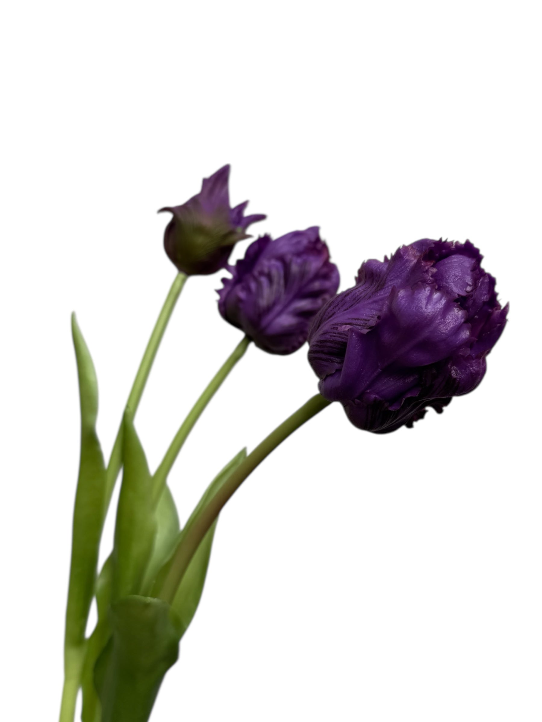 Real Touch Tulips
