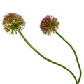 ARTIFICIAL ALLIUM FLOWER