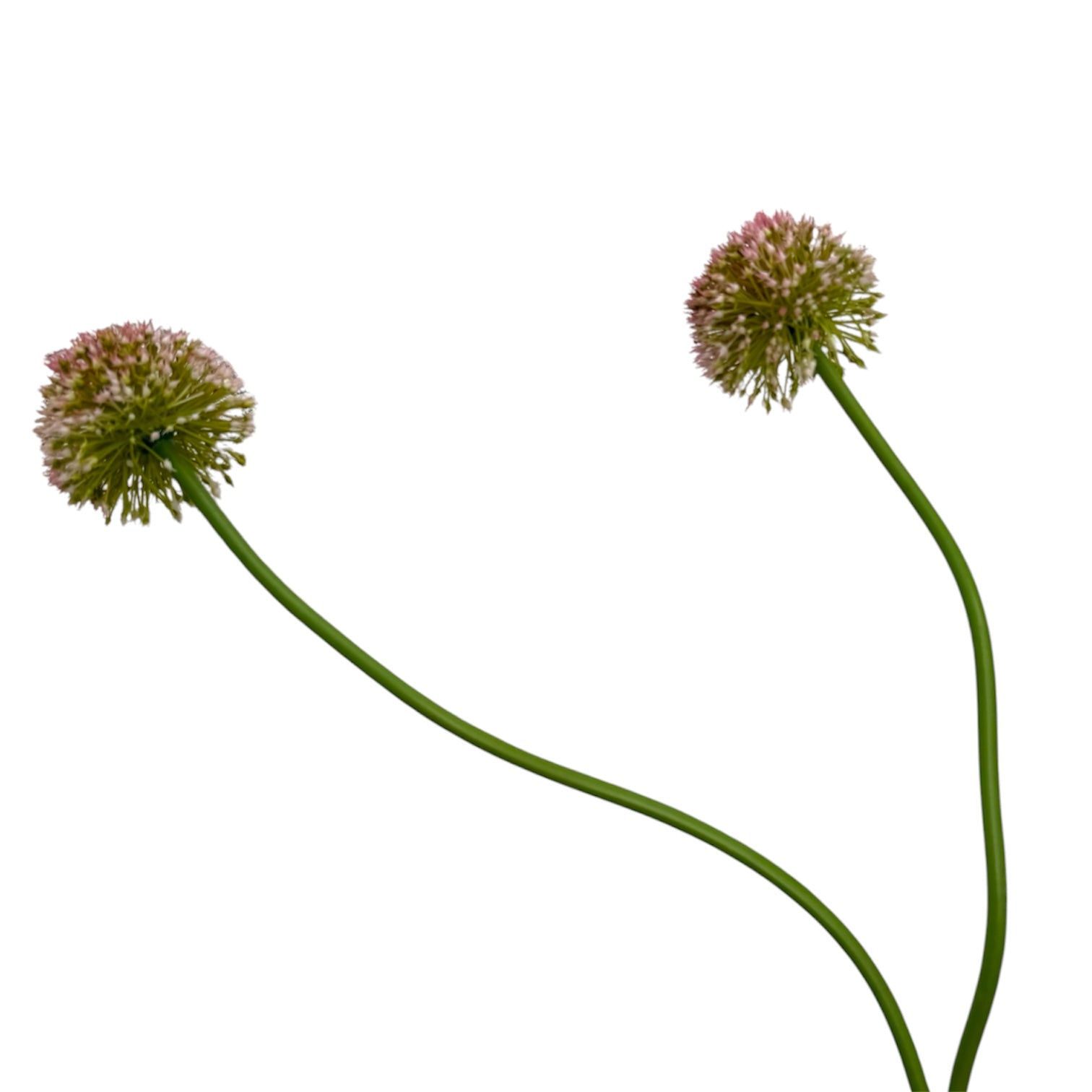 ARTIFICIAL ALLIUM FLOWER