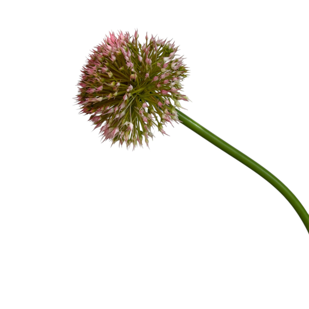 ARTIFICIAL ALLIUM FLOWER