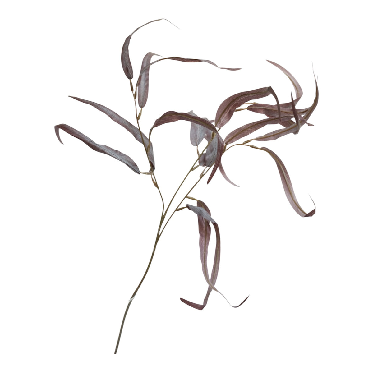 LILY LEAVES