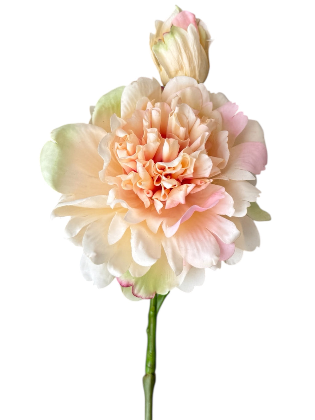 Peony Real Touch